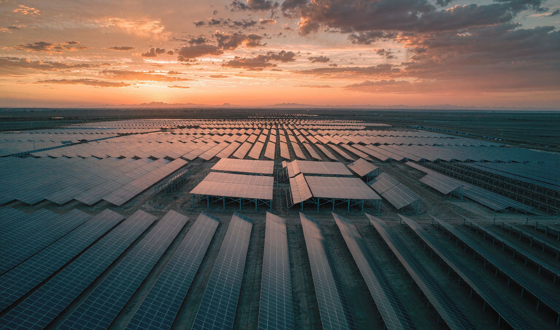 Utility-scale photovoltaic plant at golden hour